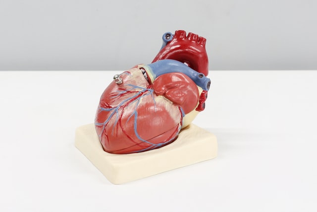 Sleep and Heart Health: How Are They Linked?