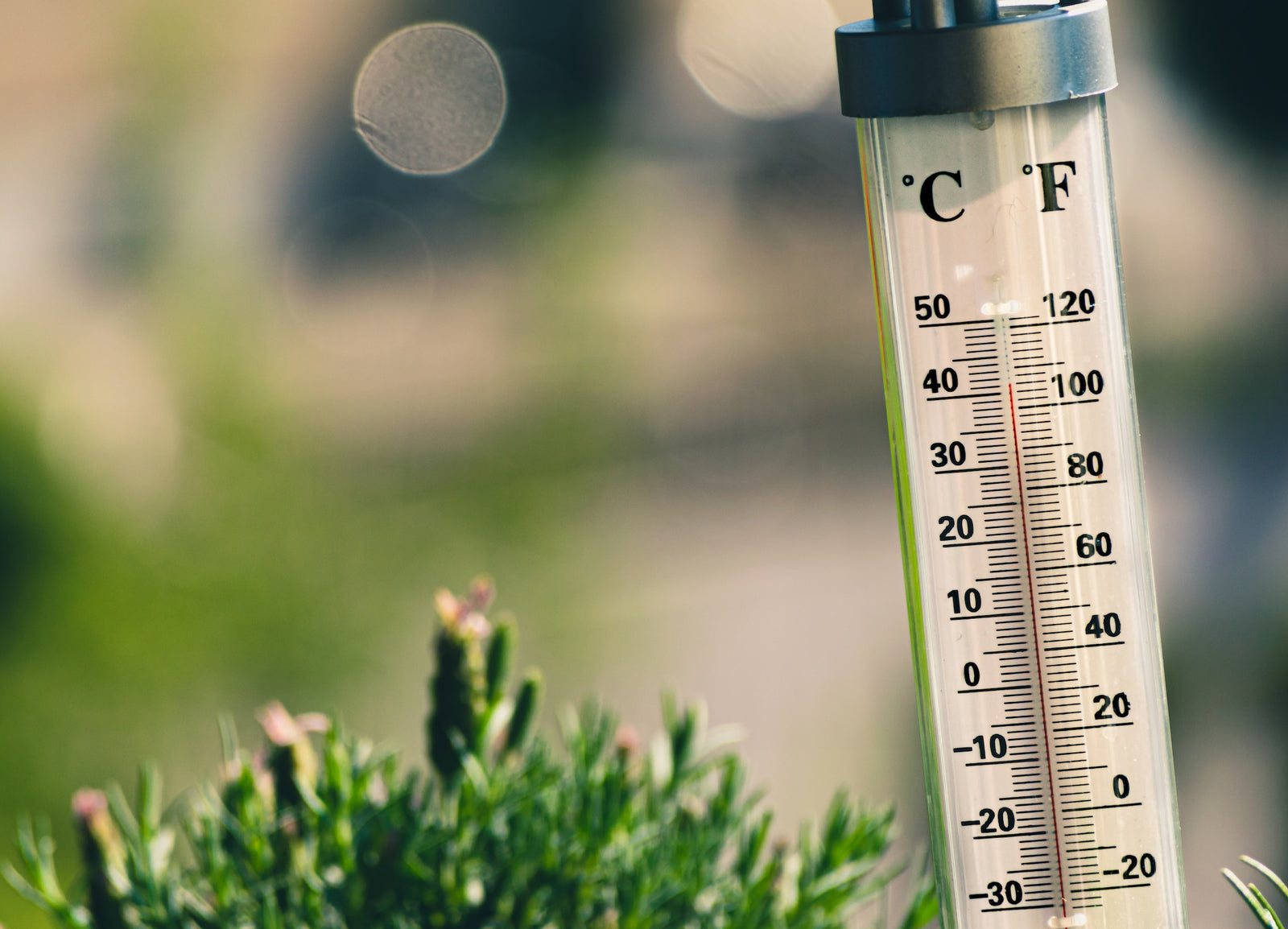 Thermometer shows outdoor temperature