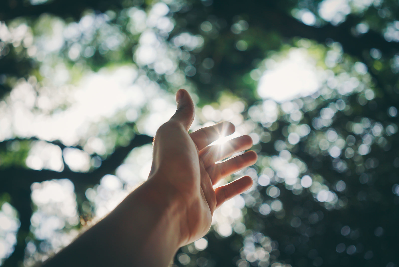The Relationship Between Light and Sleep