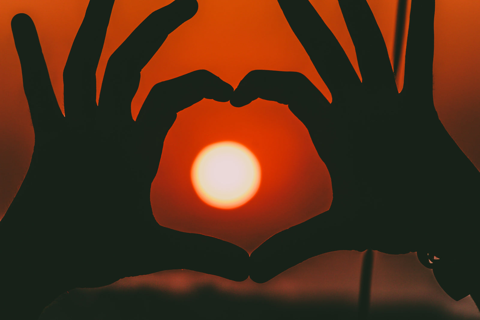 3 Best Sunrise Alarm Clocks to Wake Feeling Refreshed