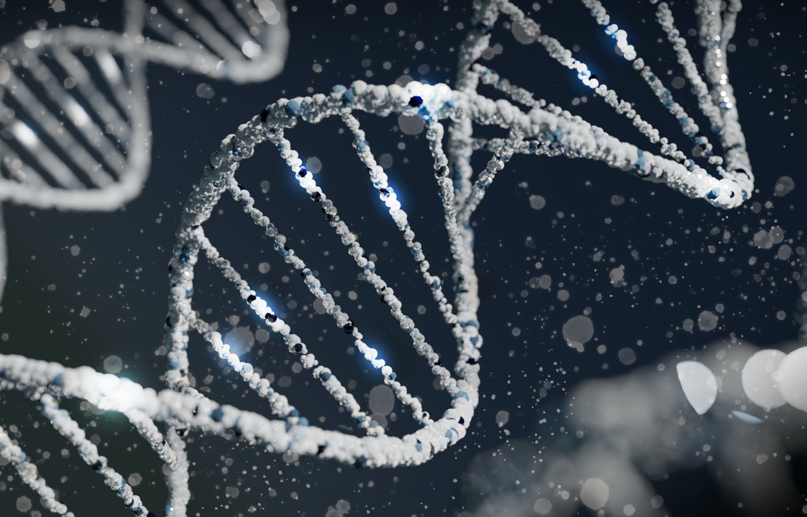 The Biohacker’s Guide to Better Sleep