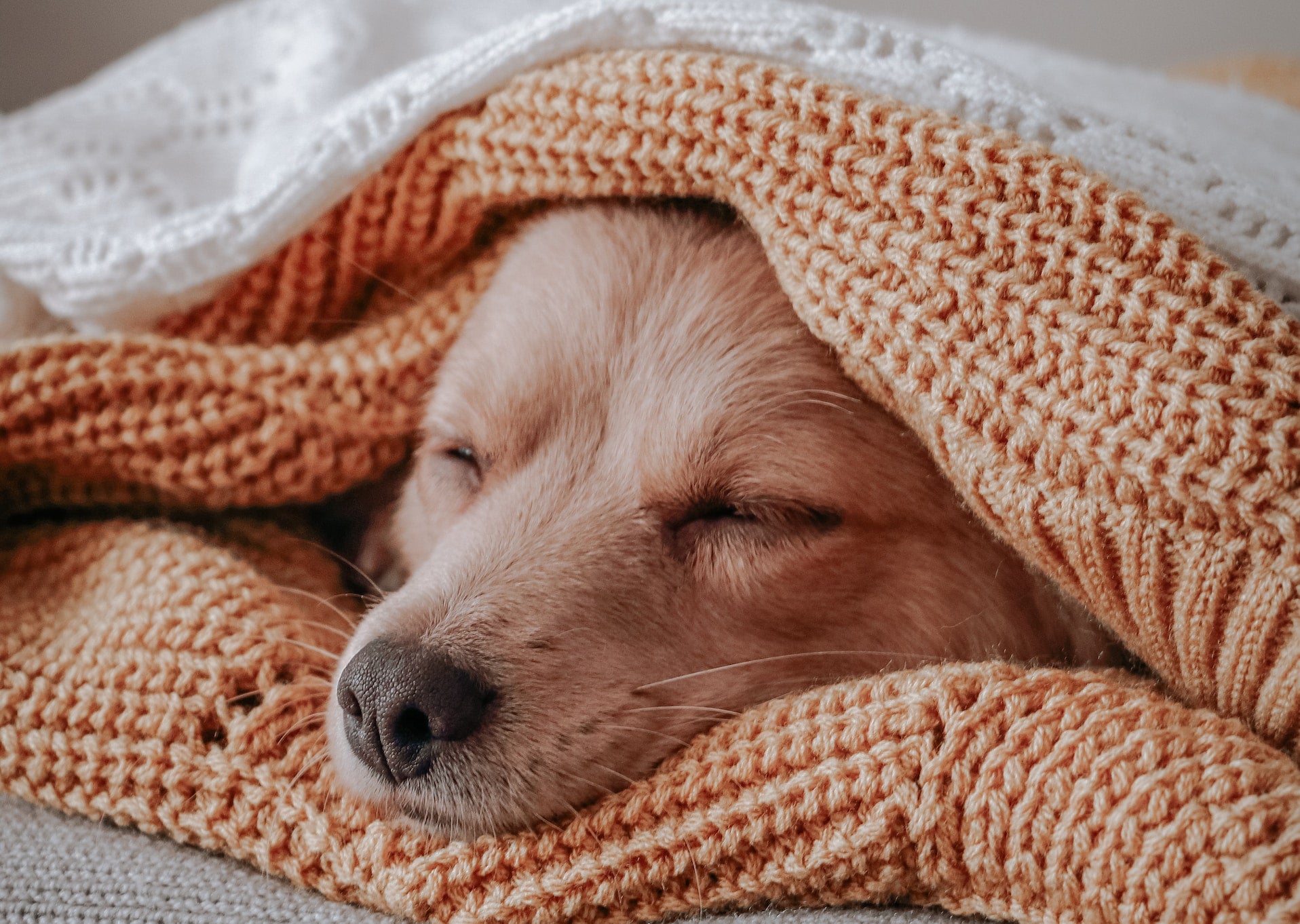 Weighted Blankets 101: Deep Pressure Stimulation for Deeper Sleep
