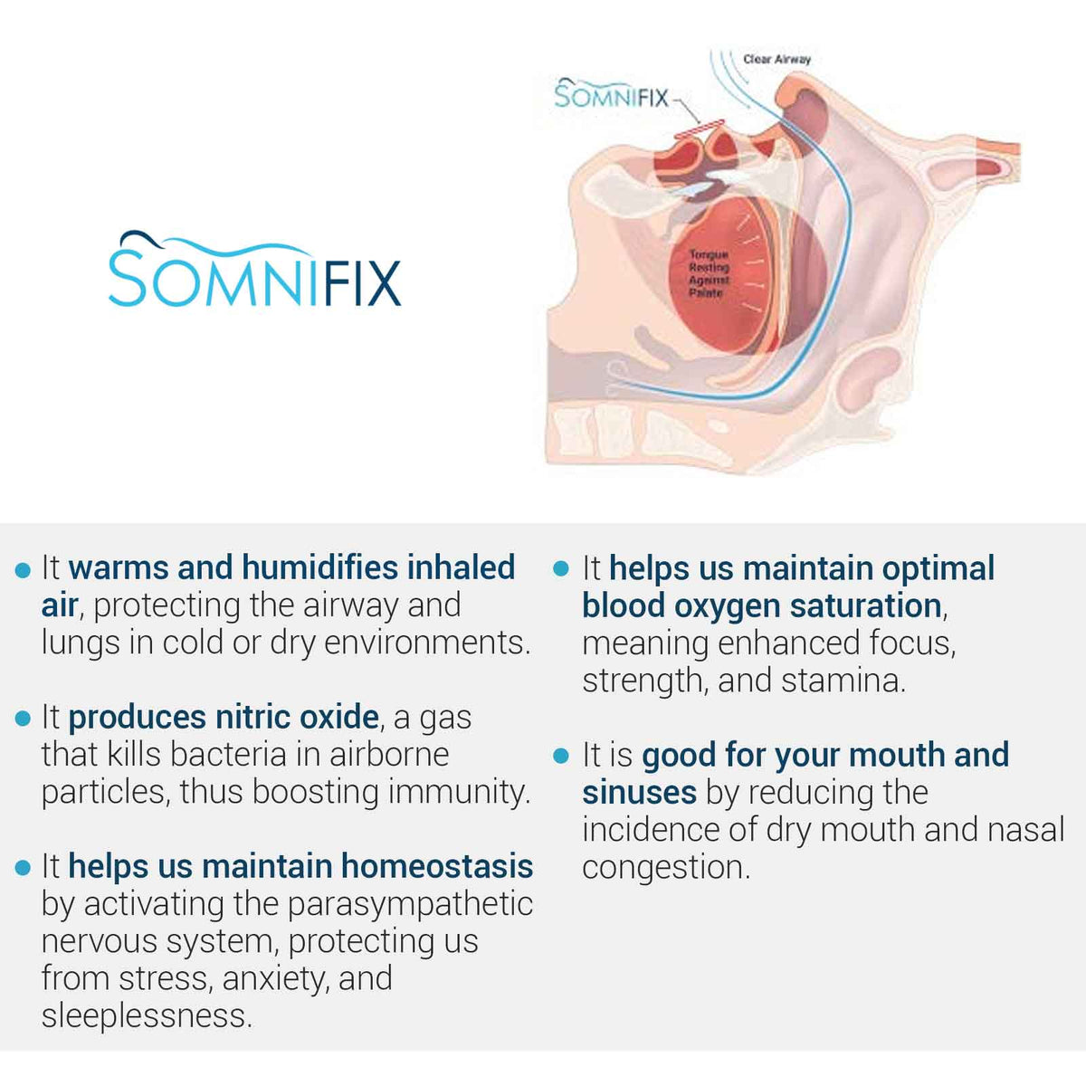 SomniFix Mouth Strips (For Recharge)